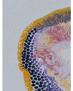Inner Bloom
