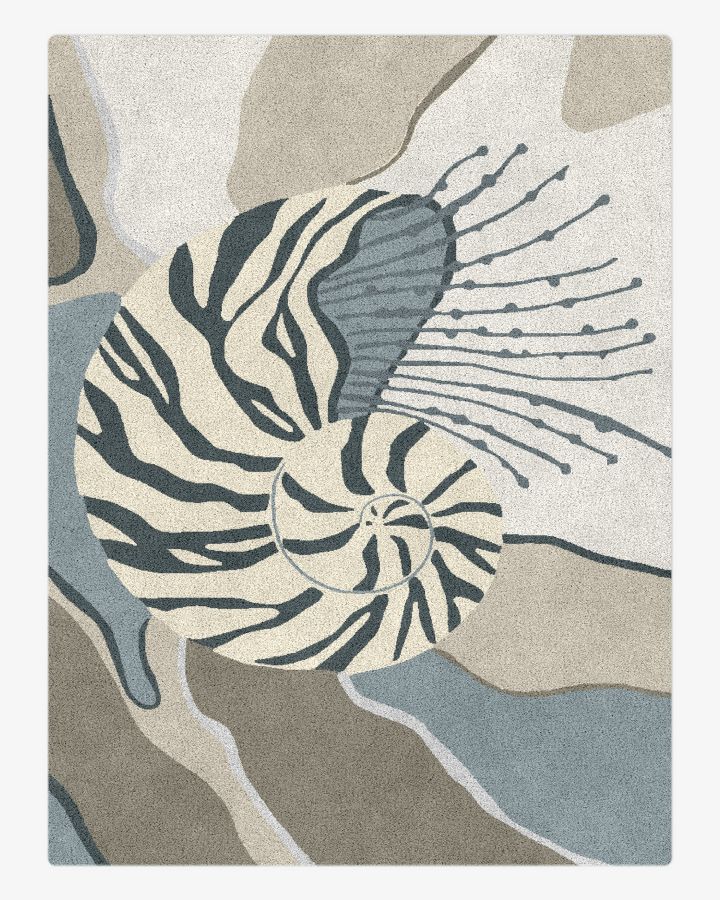Ammonites