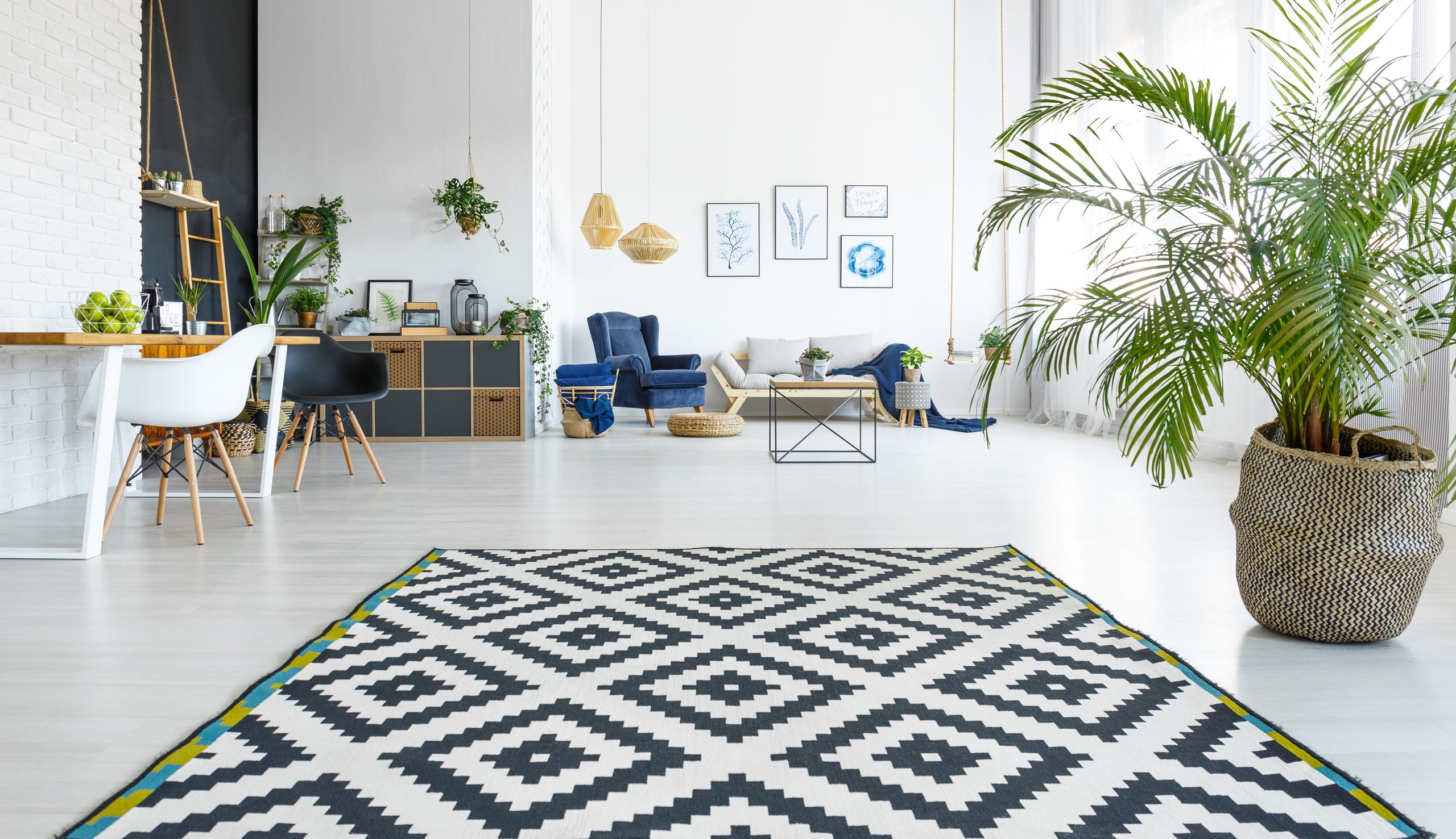 A patterned rug in a bright, plant-filled living room